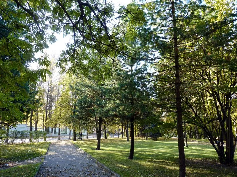 Ботанический парк