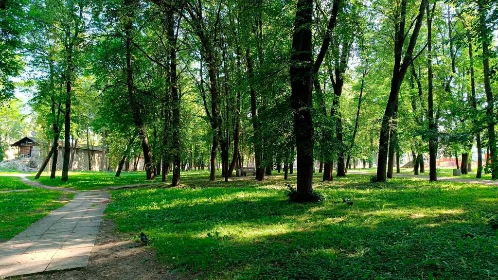 Летний сад